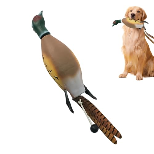 �_�b�N�o���p�[�g�C - �����g���o�[�g���[�j���O�g�C�A���O�V�~�����[�V��������|�`���������̃g���[�j���O�A�N�Z�T���[�q���M�A�A�ϋv���̂���L�����o�X�@�����������V�����_�~�[�o���p�[�g���[�j���O�g�[�����O