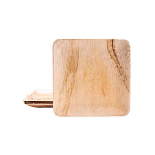 BOX And Tree| 25 Assiettes Jetable en Feuille de Palmier 24x24cml Vaisselle Jetable Écologique et Biodégradable l pour Soirée, Anniversaire Matériel...