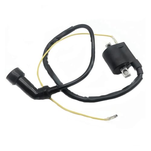 Bobine d'allumage moto 12V résout les ratés moteur Warrior 350 YFM
