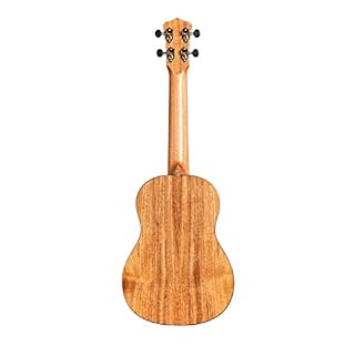 Cordoba 35T UKULELE Tenor – Ukulele tenor (+ housse) - Les Beatles, Paul McCartney, John Lennon, RIngo Starr, George Harrison Cordoba 35T UKULELE Tenor - Ukulele tenor (+ housse) – Image 2