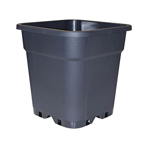 Maceta 7 L Cuadrada Reforzada INUNDACION Negra Cover