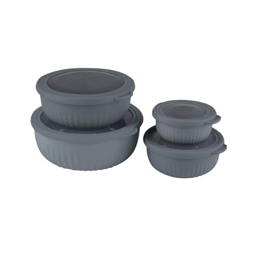 QDESIGN - Juego de 4 cajas de alimentos, latas de conservación, plástico reutilizables, no tóxico sin BPA, apto para microondas frigorífico, congelador, lavaplatos, 100% hermético, color gris