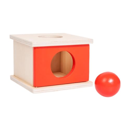 TWTCZOZ Caja de Objetos, Bloque de Madera con Bloques de Coordinación para El Reconocimiento de Colores para Niños, Rojo
