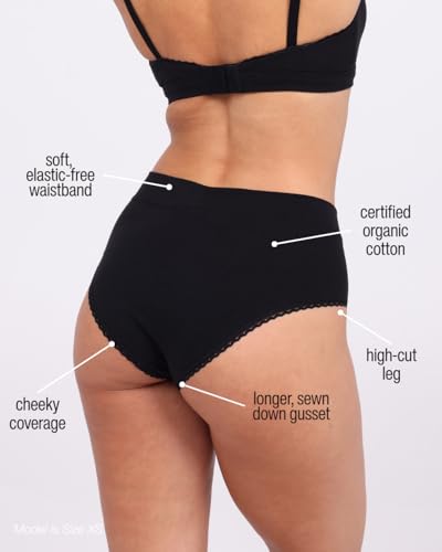 Organic Cotton High Rise Brief Underwear, 4 Pack2