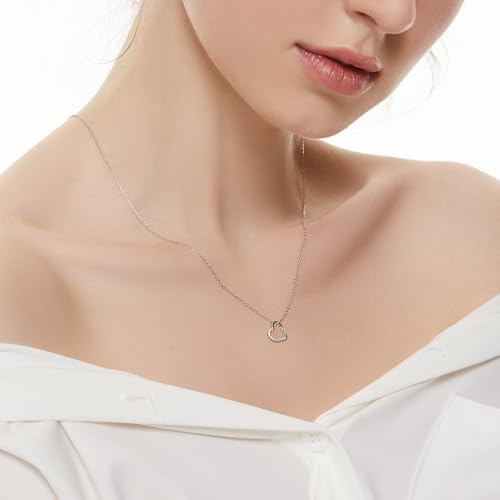 Raelyn&Bev. L'Amour Collection Jewelery,Heart Pendant Necklace,Choker Necklaces For Women, Girls with Polishing Cloth and Velvet Drawstring Bag2