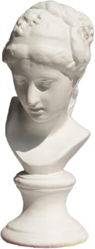 石膏像 胸像 人物像 置物 デビッド像 石膏像風 レプリカ 北欧風 デッサン用 模型 おしゃれ モデル 工芸品 人物像シリーズ 美術 雑貨 オブジェ 飾り物 装飾 道具 雕像 彫刻フィギュア プレゼント 美術館 部屋 インテリア 玄関 ガーデンオーナメント