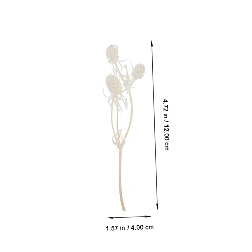 Set de flores secas prensadas para manualidades miniatura 7