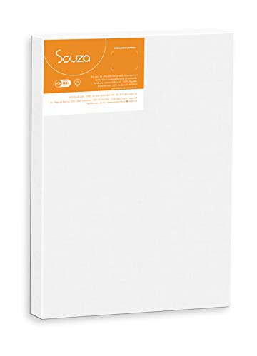 Souza & Cia Tela De Pintura, 16cm X 22cm (Ref: 8101), Branco