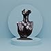 Papinimo Black Resin Jewelry Mannequin Bust Necklace Display Earring Pendant Chain Display Stand Model Holder for Shows Selling Home Decor