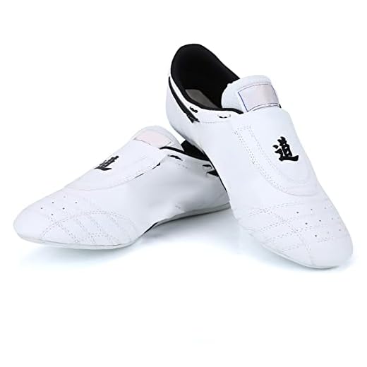 SPYMINNPOO Zapatos Kong Fu, Zapatos de Taekwondo Confiables Taekwondo para Hombres y Mujeres Niños, Artes Marciales Blancas (42)