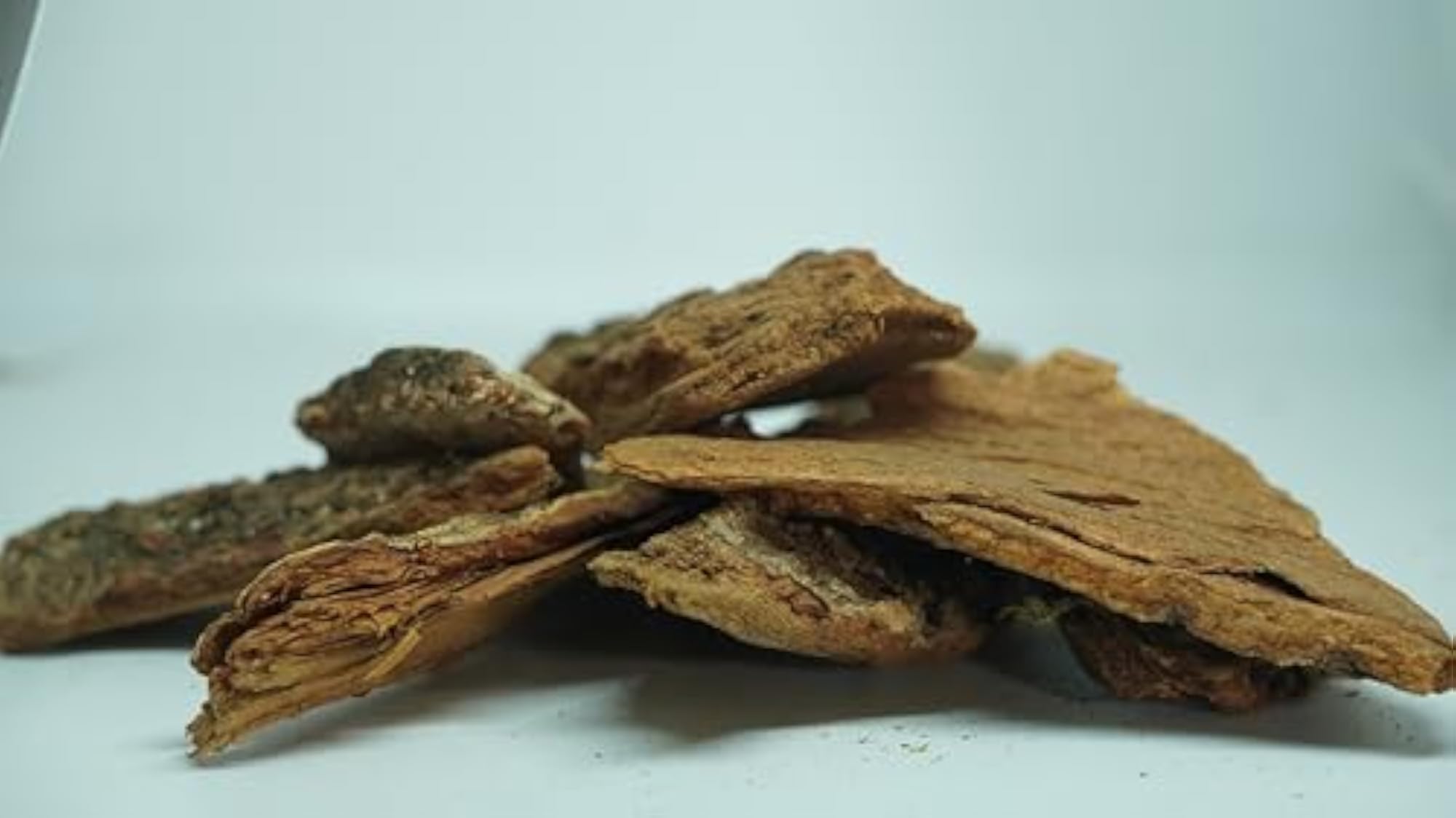 THOGAI'S Arjuna Bark/Terminalia Arjuna