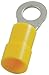 Ring Term, Vinyl, 10, 1.02 in., PK50