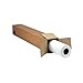 HP Universal Instant-Dry Semi-Gloss Photo Paper (42 Inches x 100 Feet Roll) (Q6581A)