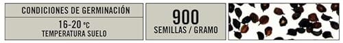Miniatura 2 de Semillas Batlle - Clavel Ramillete Del Poeta Vdo.