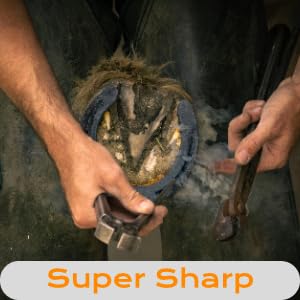 Image of Hoof Knife Farrier Loop Oval Knife Horse Hoof Knife Rubber Wood Handle Multipurpose Cattle Horse Hoof Cutter