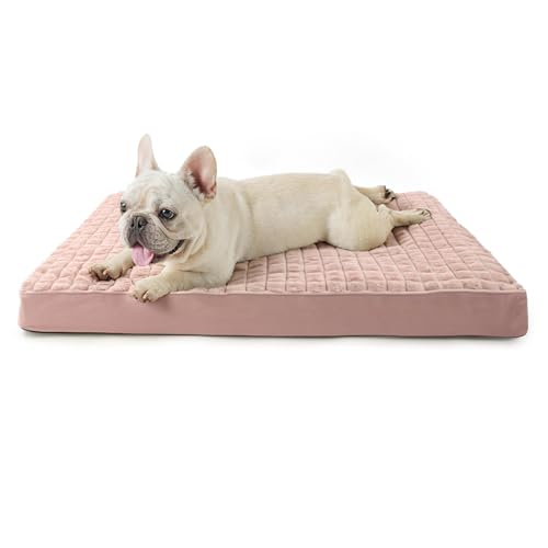 Peto-Raifu xbh NbV xbh ybgxbh ybg\t@[xbh 􂦂 ӂӂ Q h ~ V  h~ ʔNgp ~/ Hc ^ ^  `FbNJbg sN 76*50*7cm