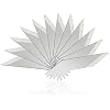 Carbon Steel Blade (24Pcs)