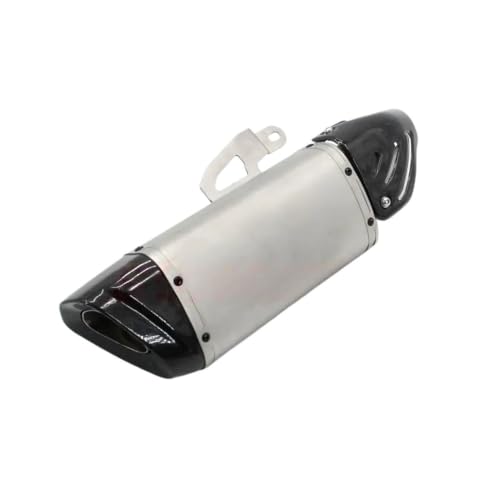 Silencieux d'échappement 61mm en carbone pour les journées circuit en S1000RR