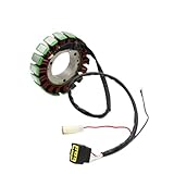 Motorrad Magneto Stator Spule 6D8-81410-00 Kompatibel Mit F75 F80 F90 100 2005 2006 2007 2008 2009 2010 2011 2012 2013 2014-2017
