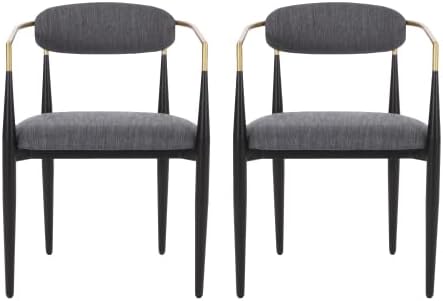Modern Dining Chairs Set of 2, Upholstered Kitchen Chairs with Iron Frame, Table & Chair Sets for Dining Room, Desk Chair for Office and