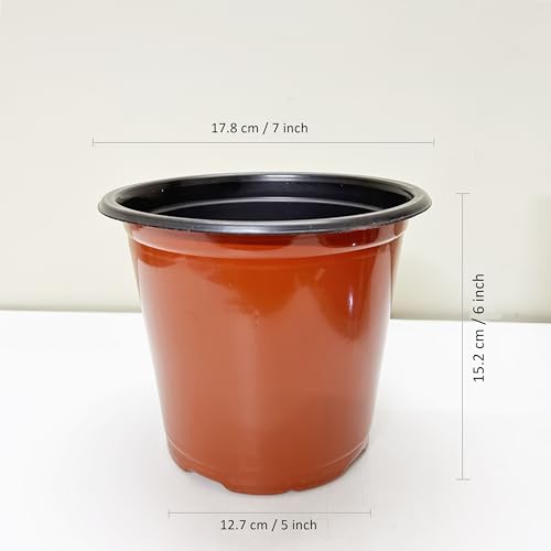 Image of Thermoformed Plastic Flower Pots, Durable, Flexible, Unbreakable, Multiple Drainage Holes, Best for Indoor Plants, Terrace Garden, Nursery (Pack of 20, 7 Inch)
