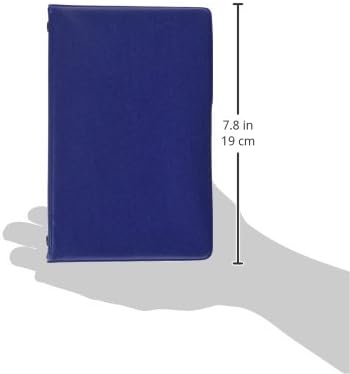 Mead Loose-Leaf Memo Book, 6 3/4 x 3 3/4", 6-Ring, 1/2-Inch, 40 Pages, Assorted - Color May Vary (46034)