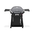 Weber Q 2800N+ Liquid Propane Grill with Stand, Smoke Grey – Wide 250°–700°F Temp Range with Plus Burner for Searing, Low?Temp Roasting & High-Dome Lid