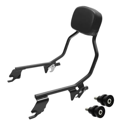 Dossier moto ergonomique avec coussin de maintien pour RH975
