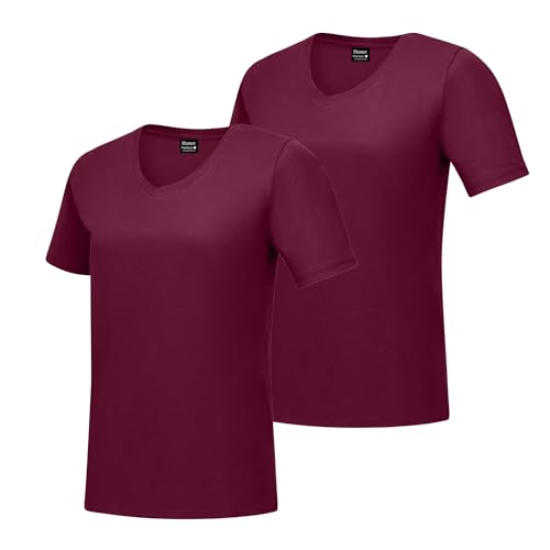 Hanes womens Short Sleeve V-neck T-shirt T Shirt, Maroon, X-Large US