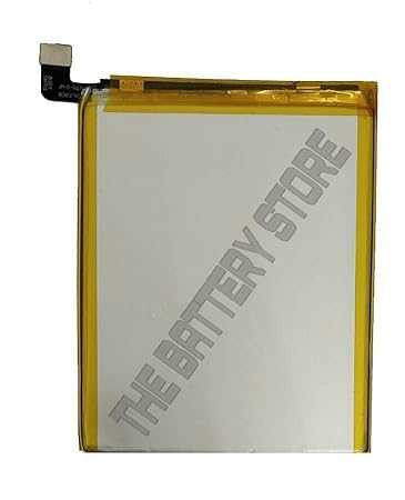 Image of THE BATTERY STORE Original B-F9 Battery for Vivo Y95 Battery with 1 Year Warranty**** (PPP161)