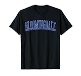 Vintage Bloomingdale IL Distressed Blue Varsity Style T-Shirt