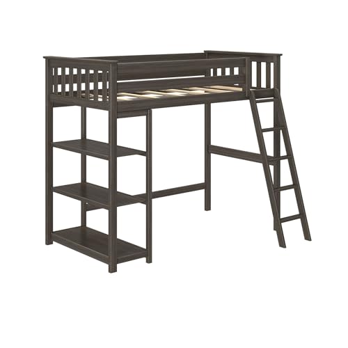 Image of Max & Lily High Loft Bed, Twin Bed Frame For Kids With Bookcase, Clay
