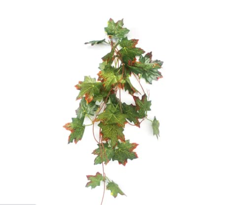 NomoyPet Plastic Hanging Artificial Plant Vine Leaves for Aquarium Terrarium Decoration (NFF-79(2.5M)) (B0BXY2WQ9X) Amazon Price History, Amazon Price Tracker