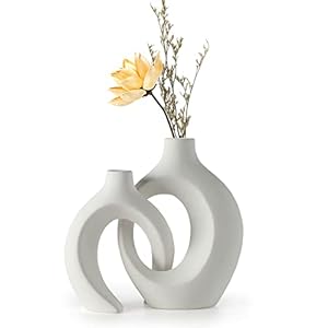 White Hollow Ceramic Vase Set of 2, Unique Round Modern Vase for Nordic Minimalist Style Decor, Donut Boho Aesthetic Vase for Coffee & Kitchen Table, Pampas Grass Living Dining Room Decoration