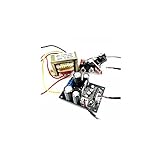 Gesamthöhe: um 23 mm Wnuanjun 1 stück Vinylaufzeichnung Spieler Vorverstärkerplatine MC MC Phono Verstärker Gramophone Kopfvergrößerung Vorverstärker Dual AC 15-16V (Farbe : B)