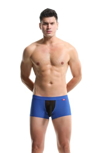 Sexy Underwear for Men Breathable Mesh See Through Boxer Briefs Elephant Nose Pouch Panties4