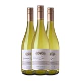 Viña Errazuriz Chardonnay Valle de Casablanca 75 cl Vino blanco (Caja de 3 Botellas de 75 cl)