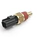 Delphi TS10175 Coolant Temperature Sensor