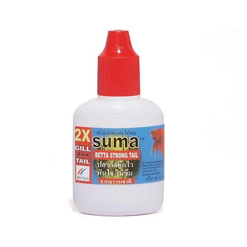 スーマ suma セット ベタ SUMA スーマ GILL&TAIL : ベタ専門店 ペットフィッシュ - 通販