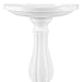 Bloem Promo Bird Bath with Pedestal, 25