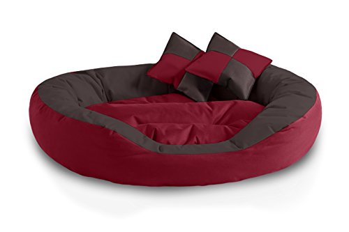 BedDog® 4in1 Hundebett SABA, Wende-Hunde-Kissen oval-rund, großes Hundekörbchen, abwischbares Hundebett mit Rand, für drinnen, draußen, XL, Sultan, rot-braun Cover