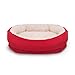 40 Winks Orthopaedic Bed - Red 26
