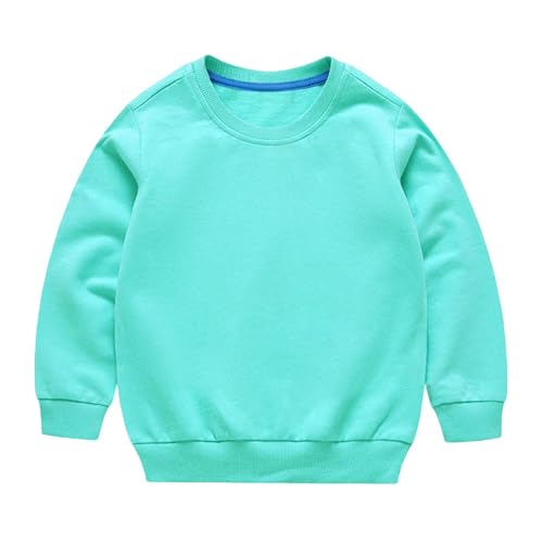 Boys Girls Solid Cotton Thin Sweatshirts Long Sleeve Pullover top T-Shirts Plain Fall Crewneck Sport Tops2
