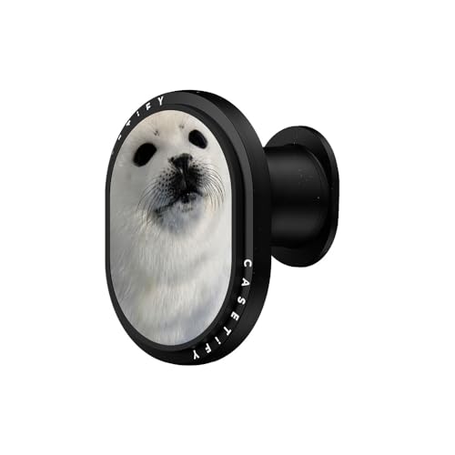 CASTETiFY Wireless Car Charger - Seal