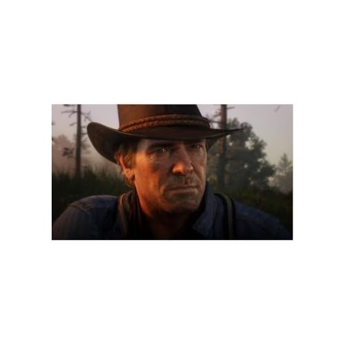 Dead Redemption 2 XBOXONE - vue 10