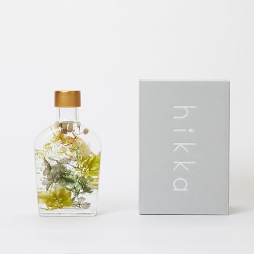 hikka (qbJ) n[oE XLbg^ KXr BOX (W72mm×D40mm×H130mm) (O[) vU[uht[  ͂Ȃ sv { t[ Mtg v[g ̓ iFType02