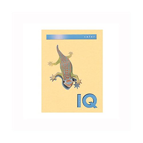 iƖpZbgj ɓ oCIgbvJ[ A4 500 80g^m2 BT515 T[ y×2Zbgz AV fWm v^[ OA v^p [sAi]