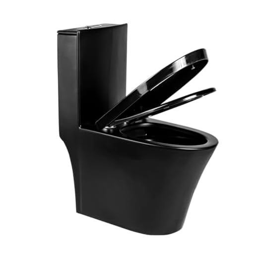 Vaso Sanitário Monobloco Caixa Acoplada Privada Lisboa Preto