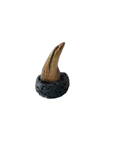 Image of Tyrannosaurus Rex Hand Claw Replica - Mounted on Black Base - Late Cretaceous Dinosaur Fossil Model