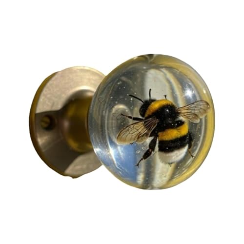 NX^AnhChAgpNGCeBuȉԕhAmuihApj(Color 2)